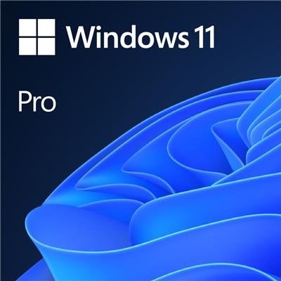 Microsoft Windows 11 Pro (64-bit) — English – product image